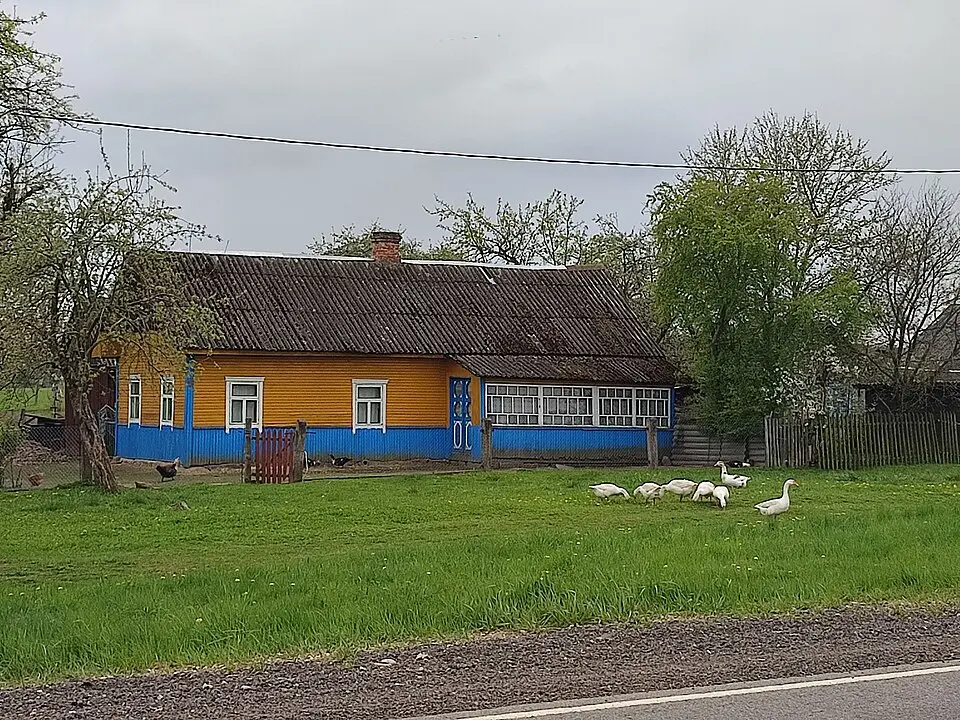 Альба