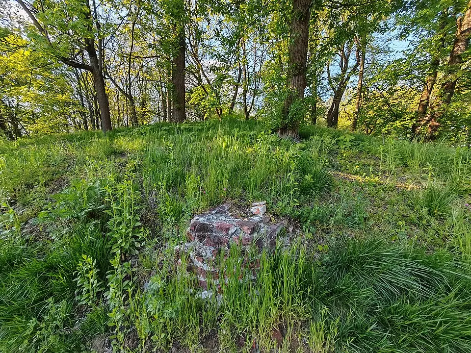 Fort reditowy 15 "Pszorna"