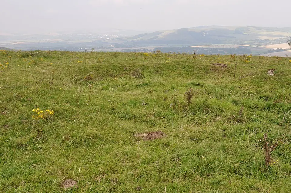 A saucer barrow, a bowl barrow and a pair of hlaews 350m north west of Overhill Lodge