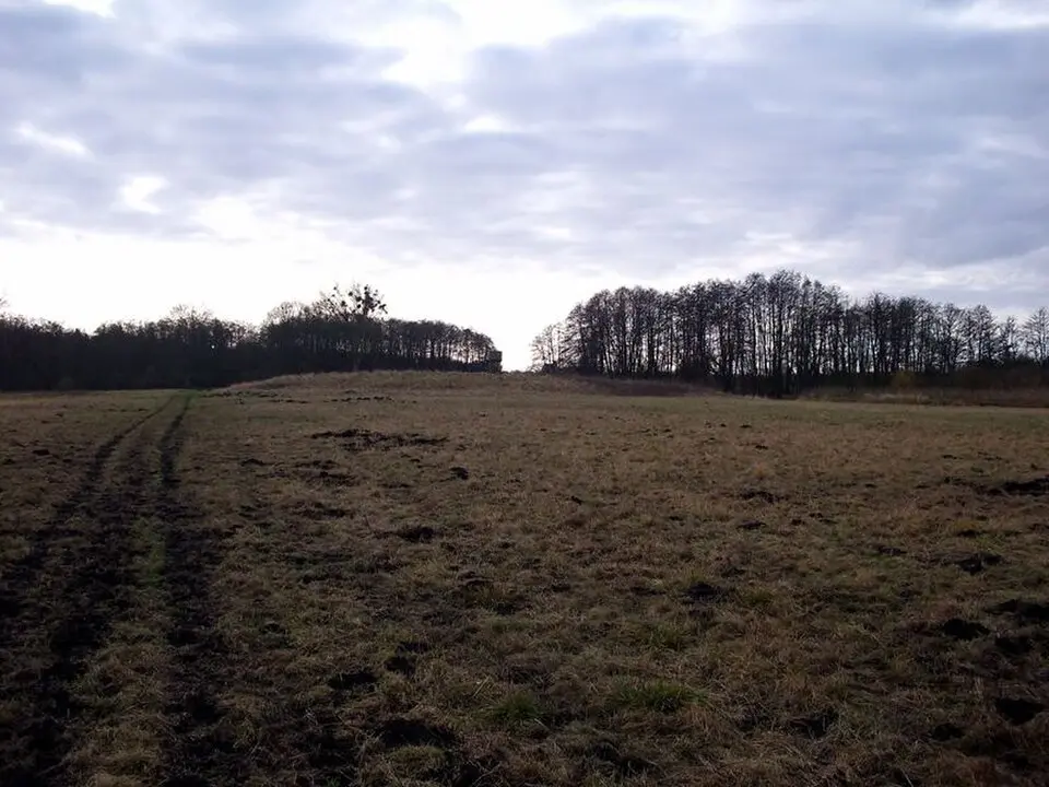 Fischerwall