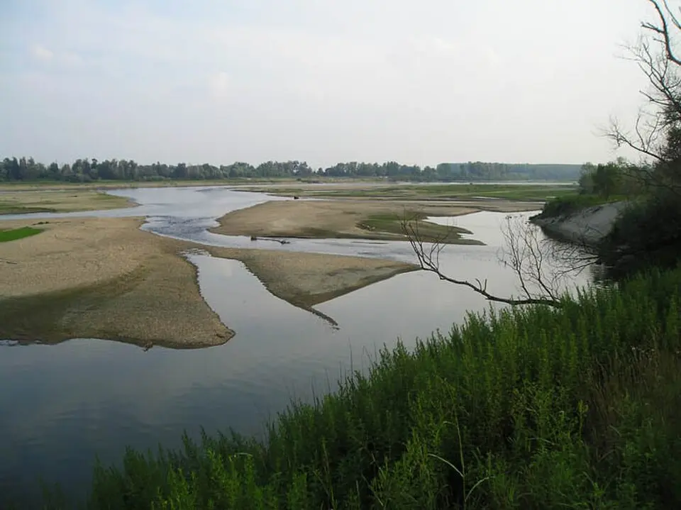 Lomelline