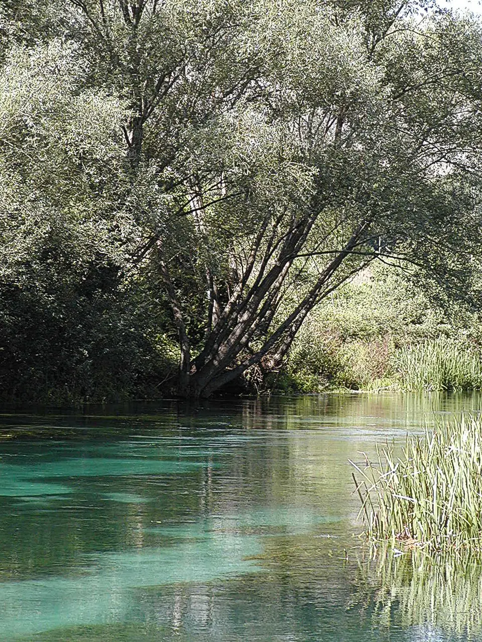 riserva naturale guidata Fiume Tirino