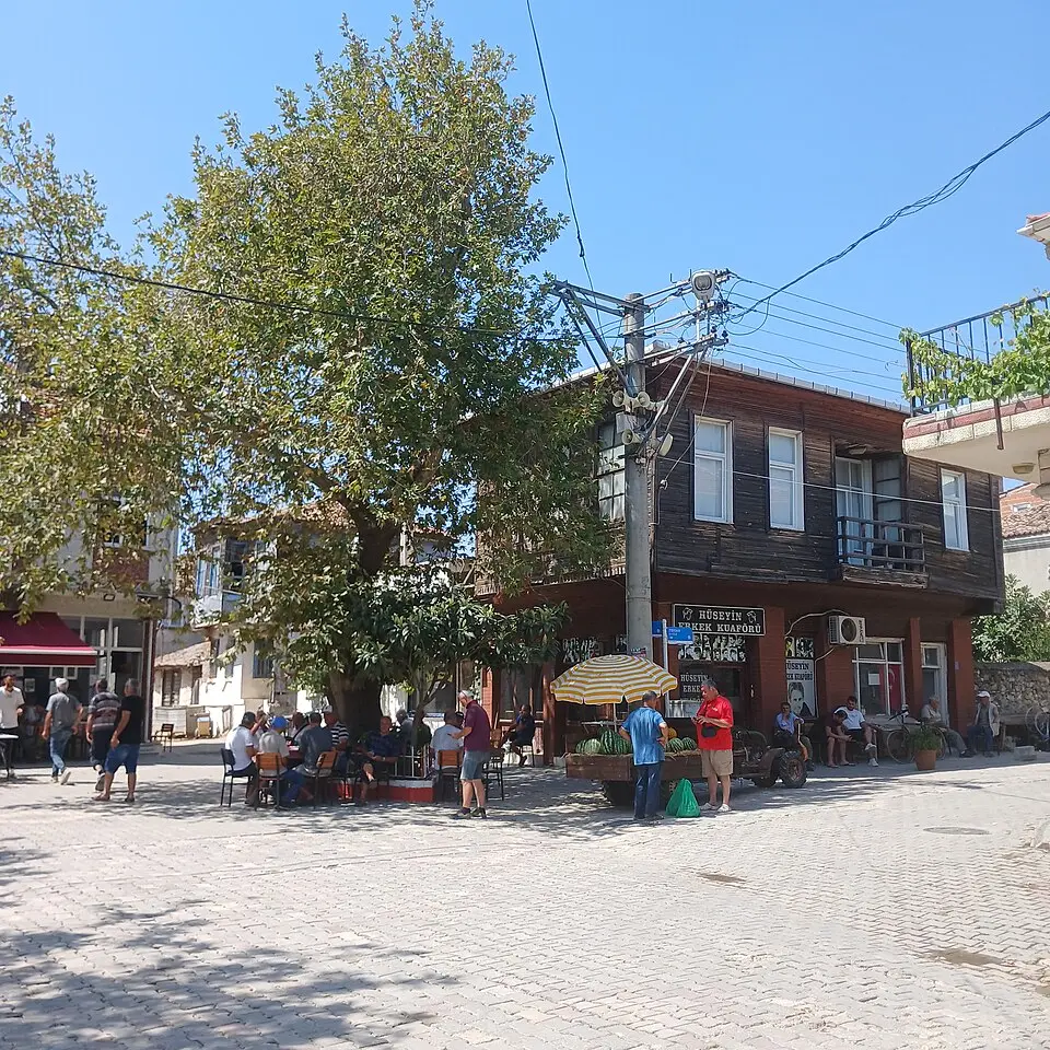 Eriklice