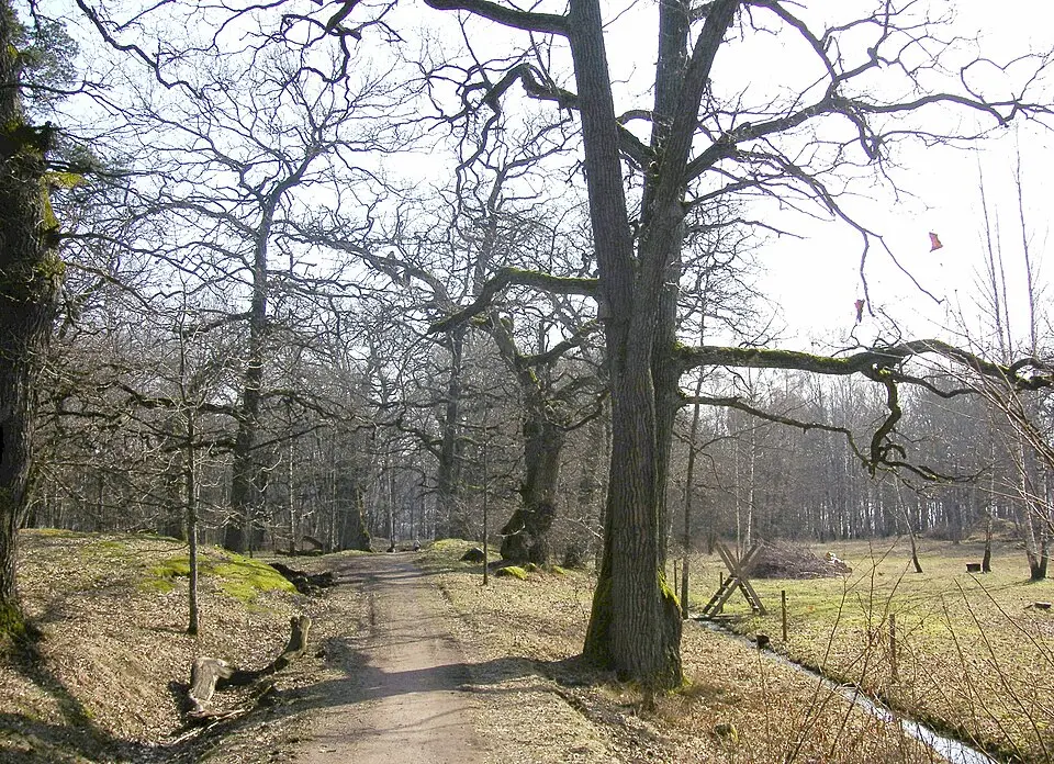 Flatens naturreservat