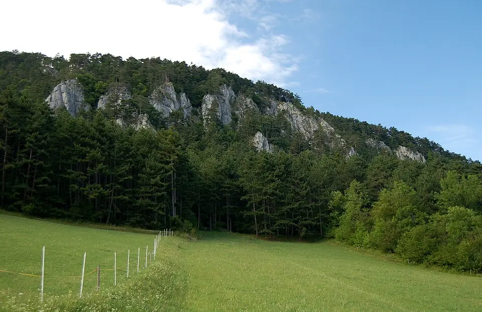 Slika: Herzi Pinki · CC BY-SA 3.0 Naturpark Sierningtal-Flatzer Wand