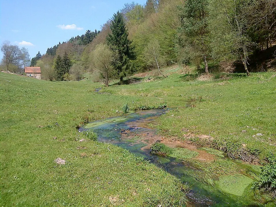 Flörsbach (Lohr)