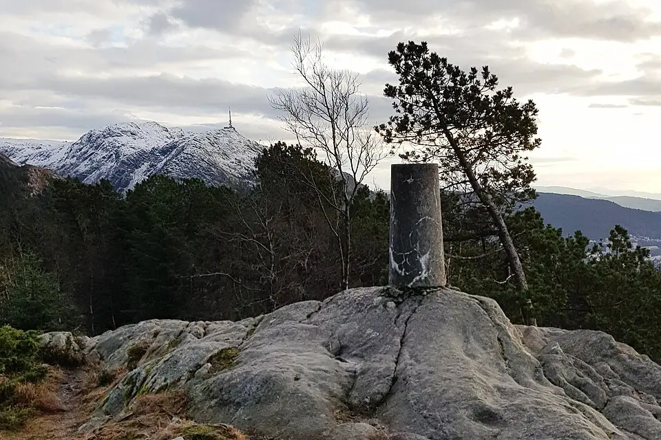 Fløyen