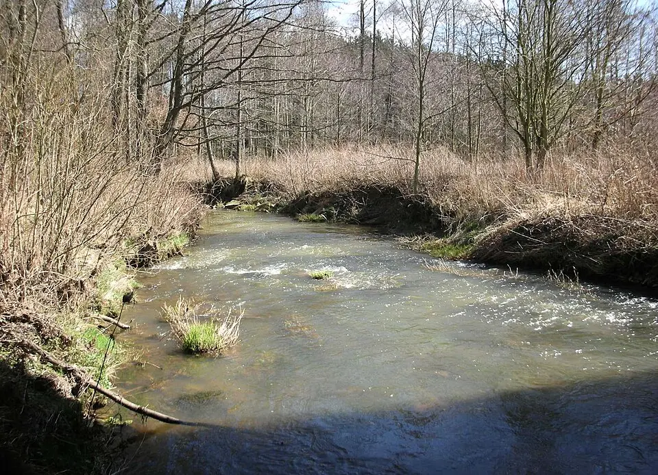 Obrázek: Straktur · CC BY-SA 3.0 Plesná