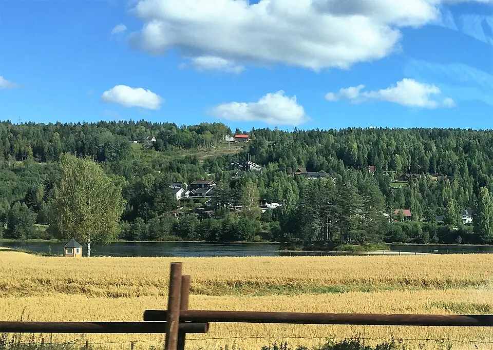 Svene