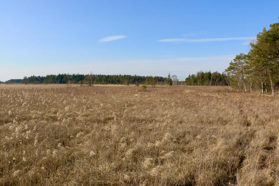 Florarnas naturreservat