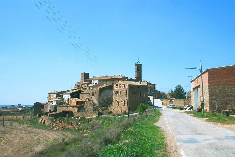 Torreflor
