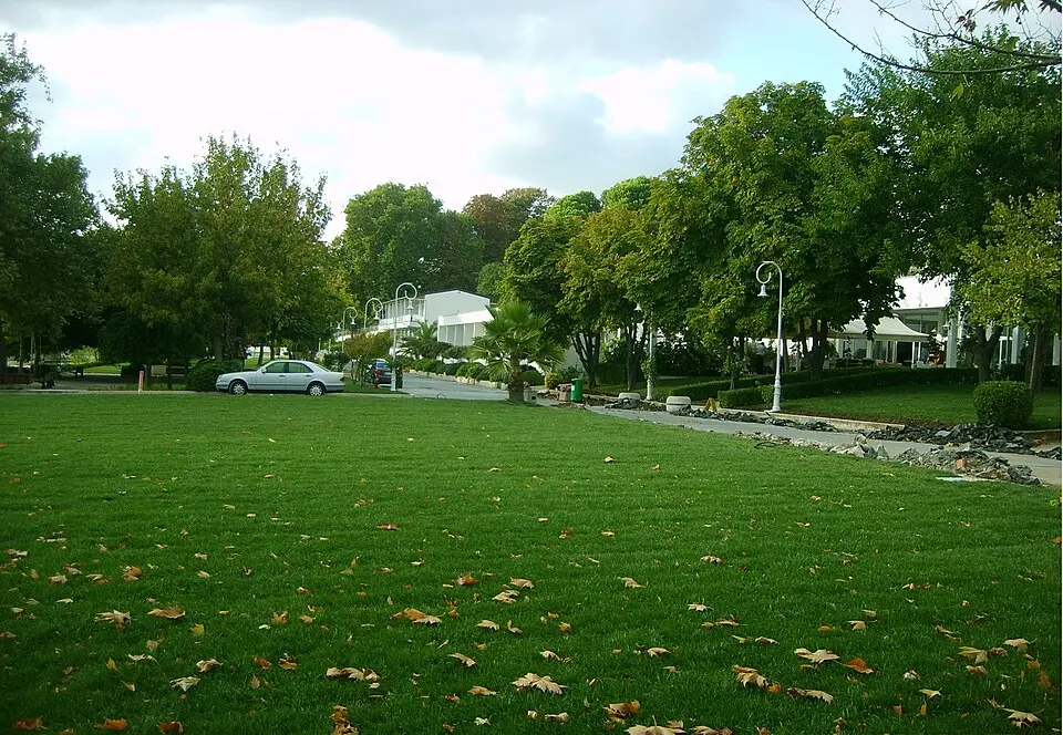 Florya