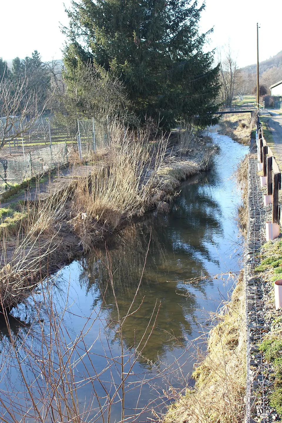 Jeckenbach