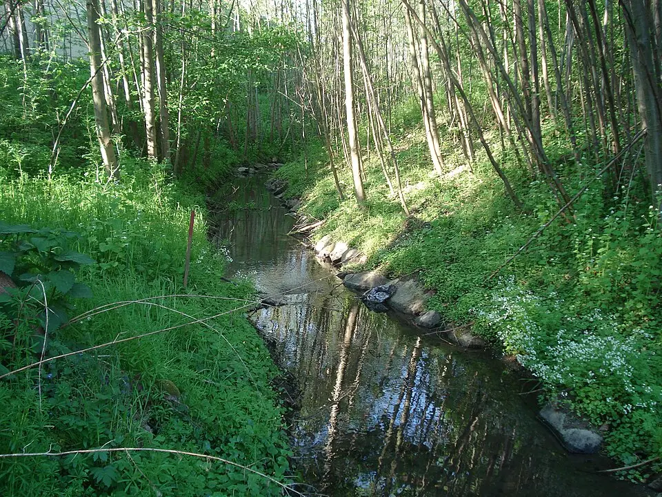 Goldbach