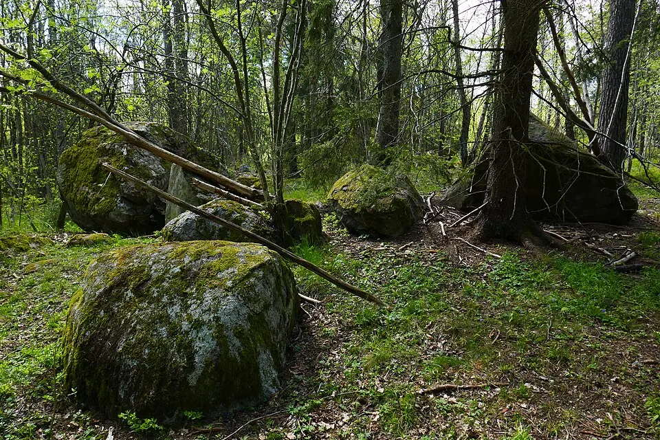 Obrázek: Krr005 · CC BY-SA 4.0 Tegelhagsskogens naturreservat