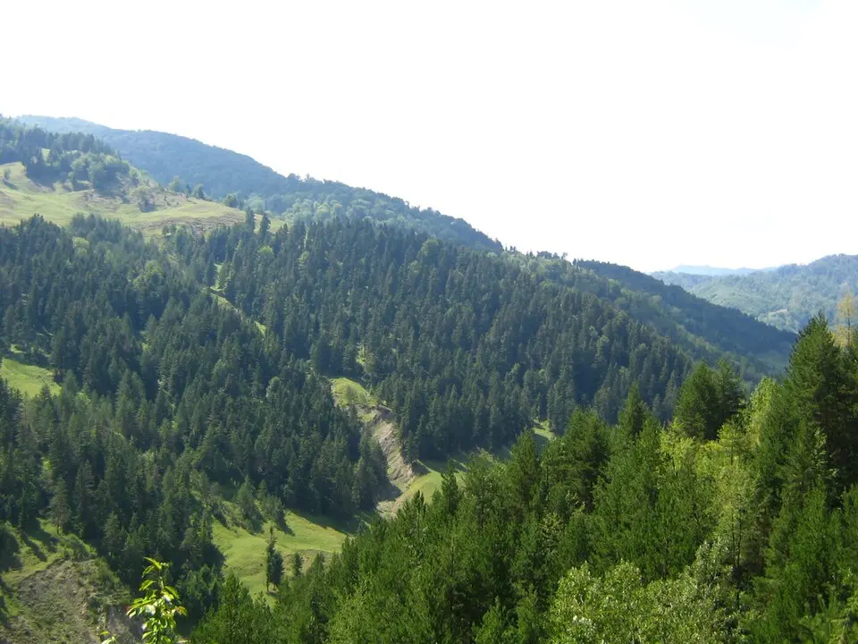 Andreiașu de Jos