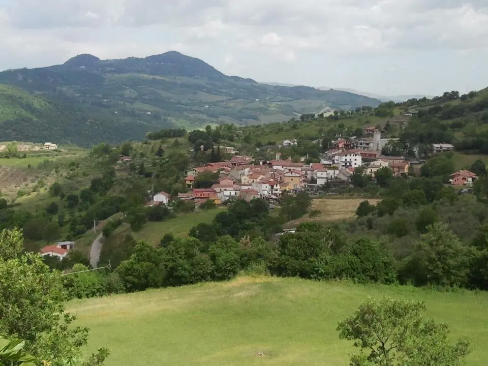 Foggiano