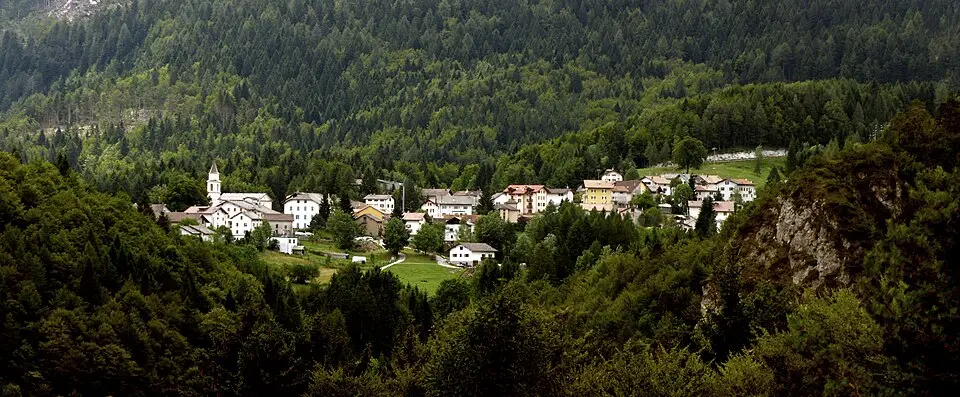 Carbonare