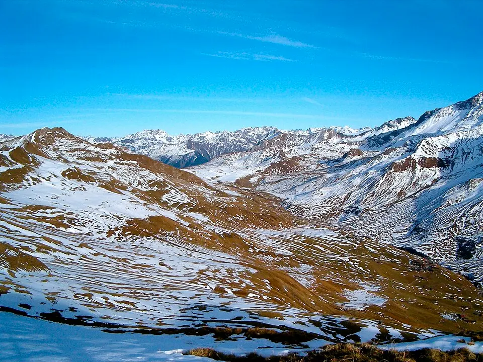Mattjisch Horn
