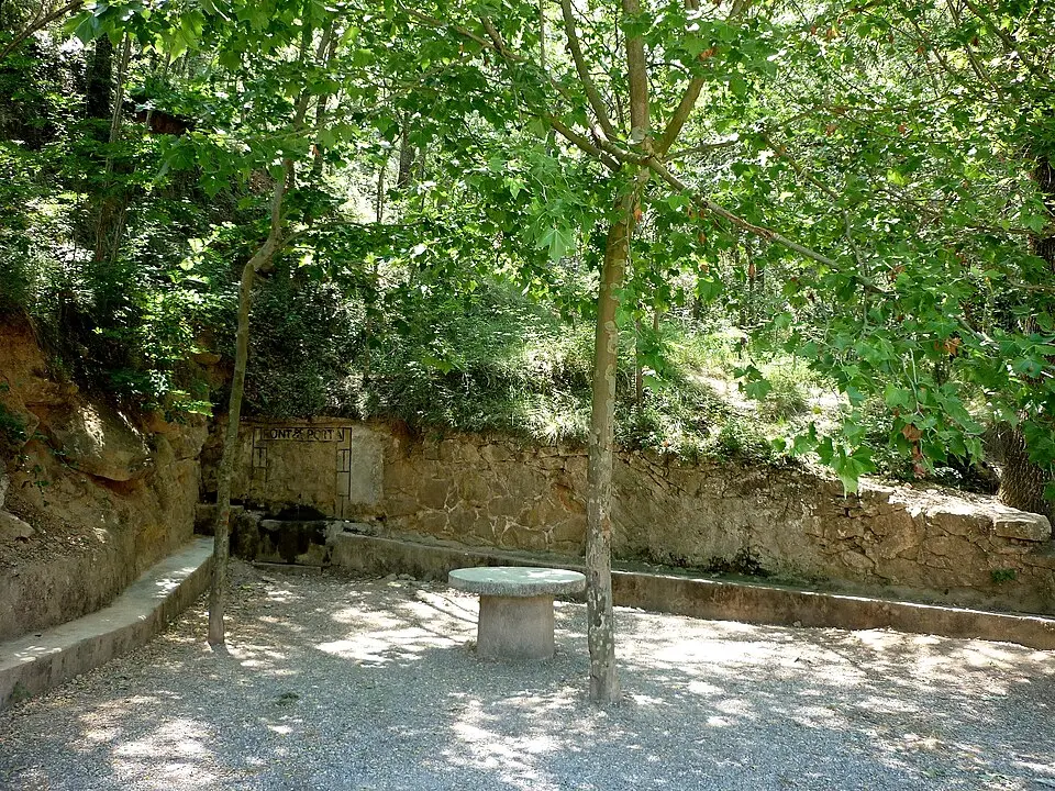 Slika: Isidre blanc · CC BY-SA 3.0 Font de Cal Porta
