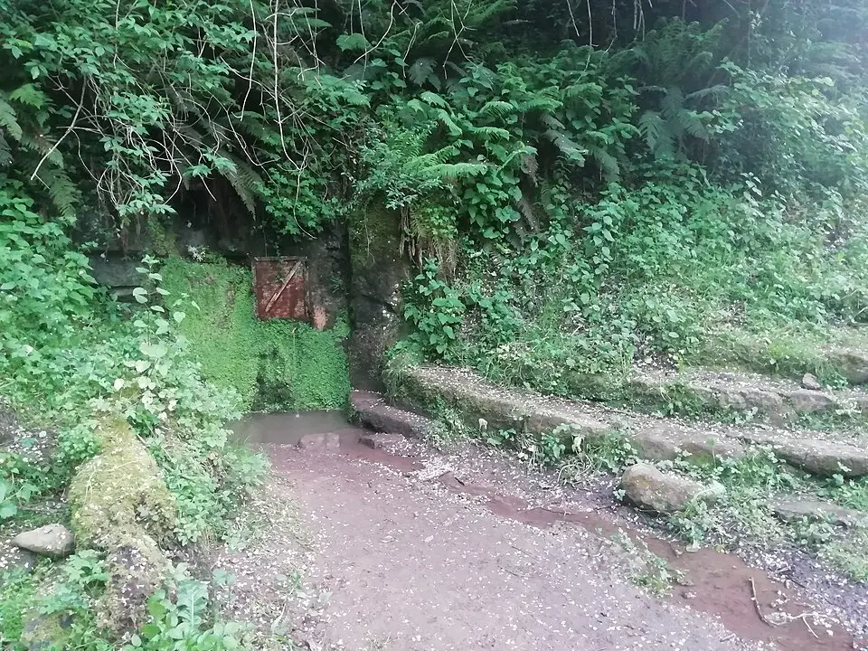 Font de la Salut