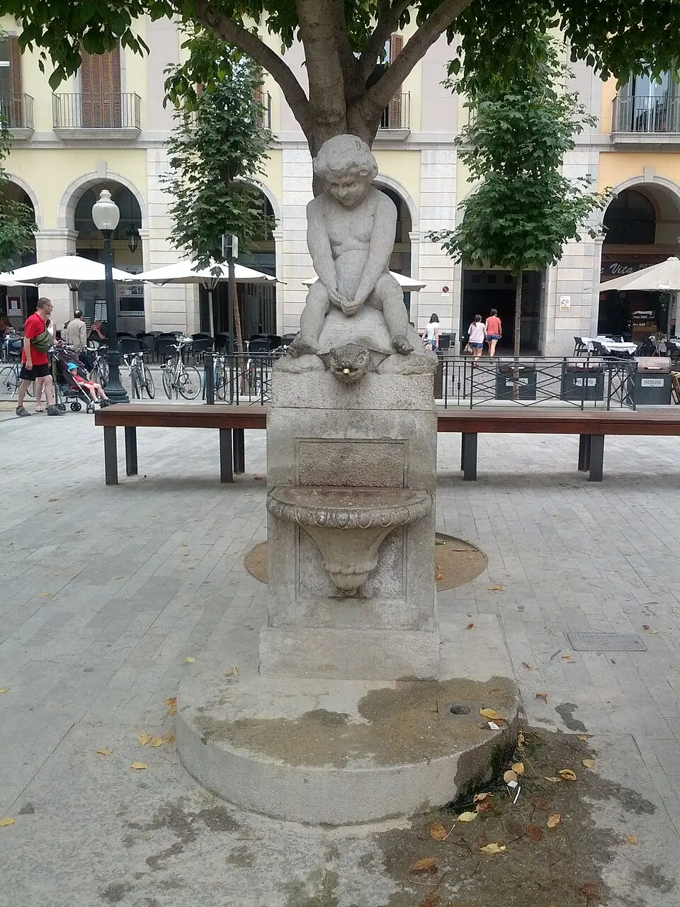 Font del Nen de la Tortuga