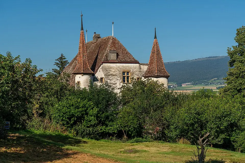 Château Fenin