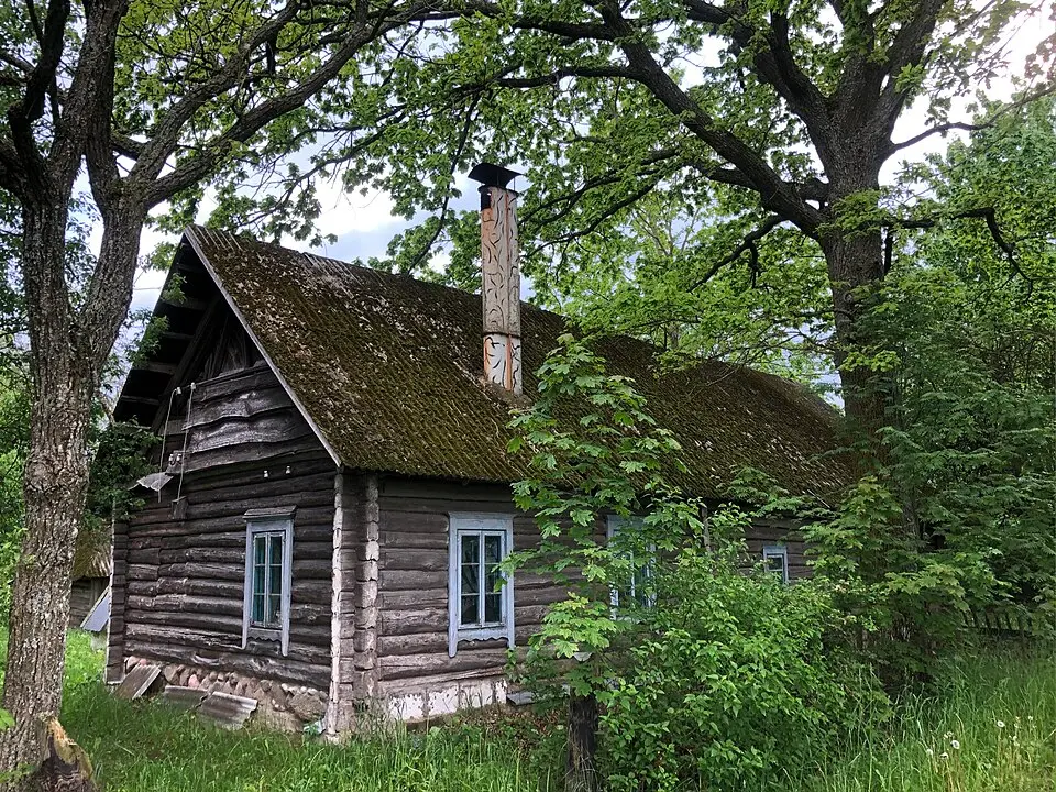Budzieva