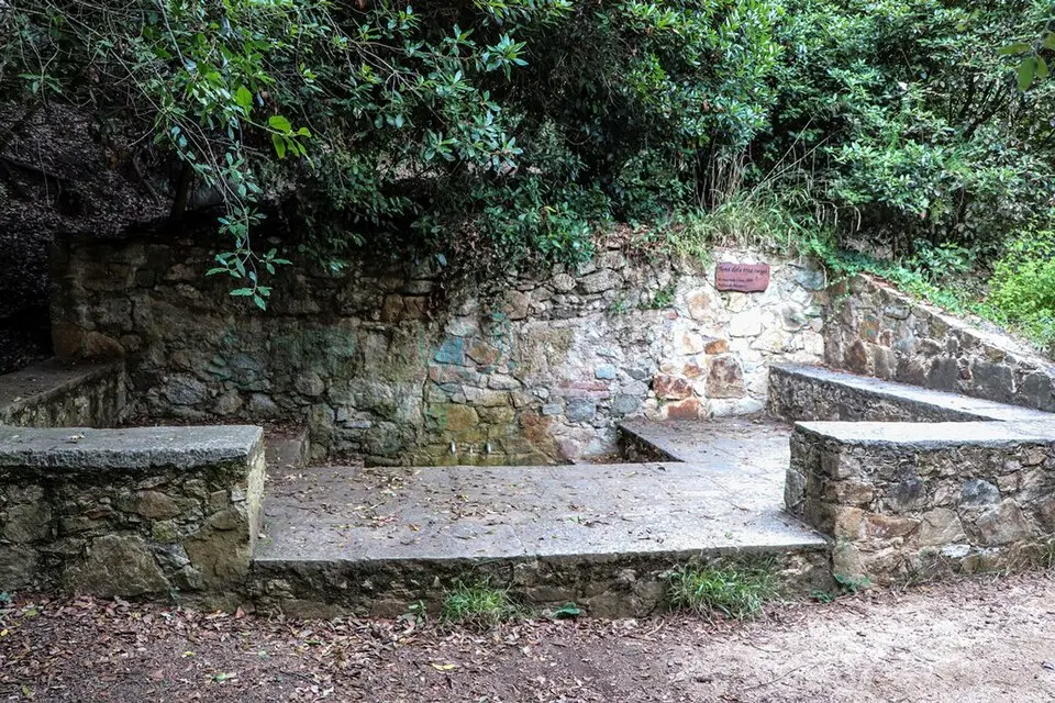Font dels Tres Raigs