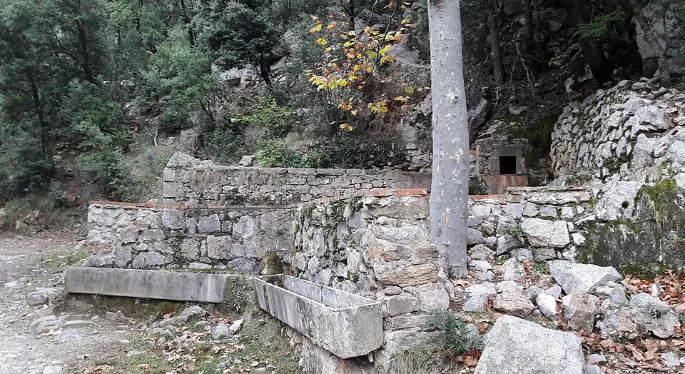 Font i safareig de Can Nou