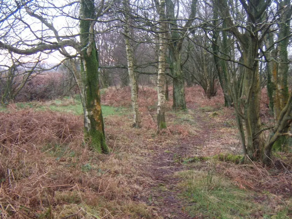 Angerton