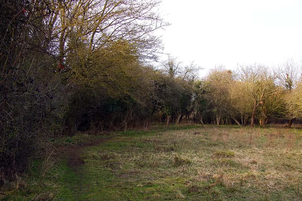 Lashford Lane Fen