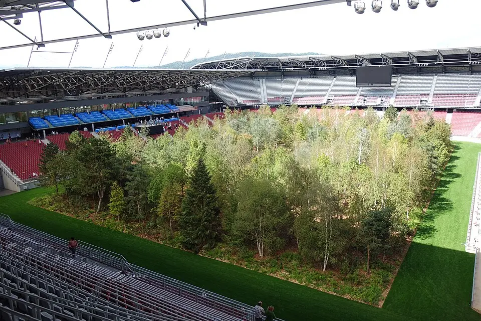 For Forest