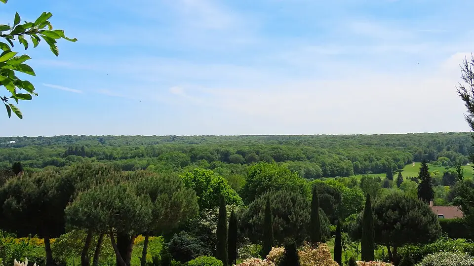 forêt de Marly