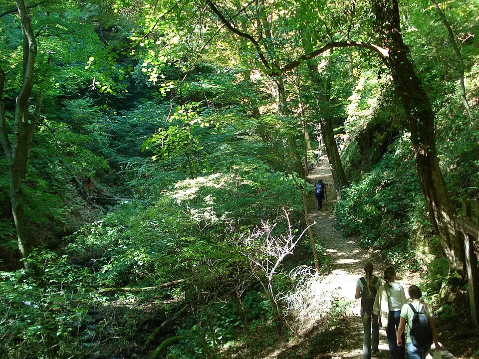Medvednica Nature Park
