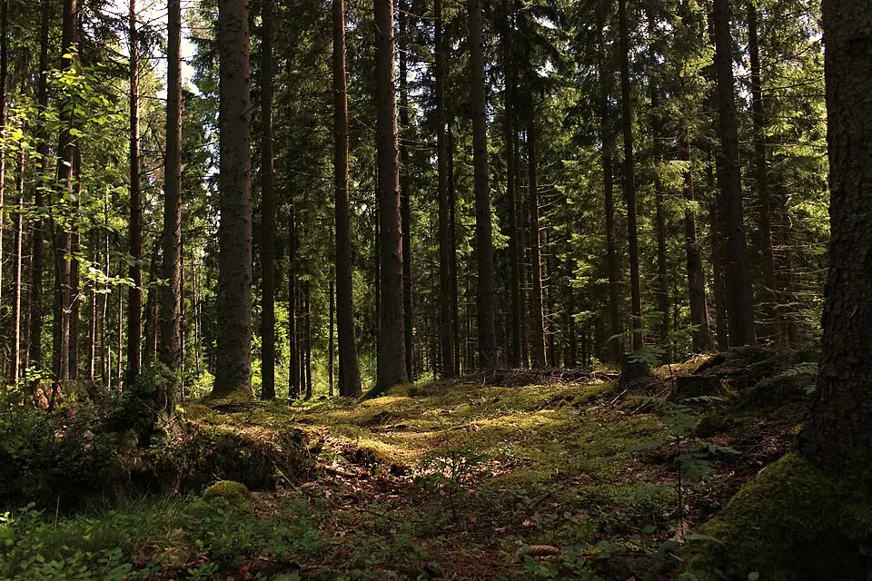 Teleborgs naturreservat