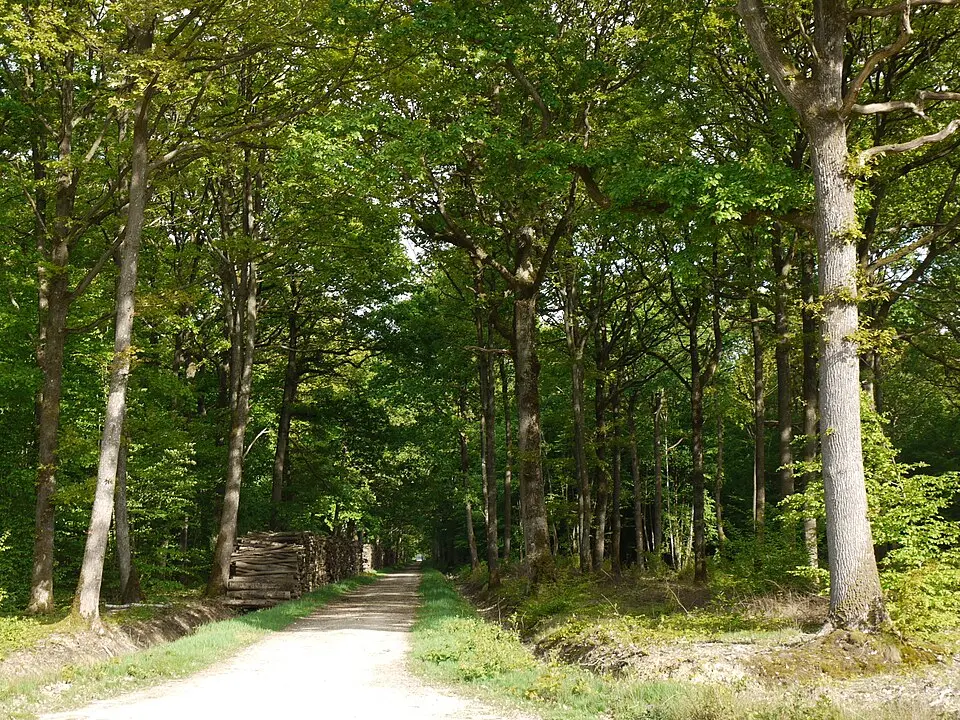 Rambouillet les