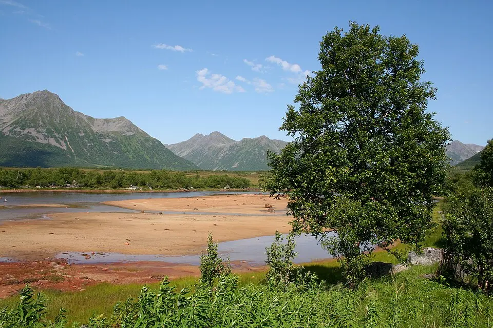 Forfjorden naturreservat