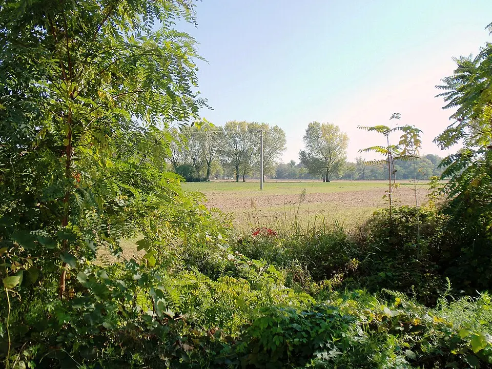 parco Forlanini