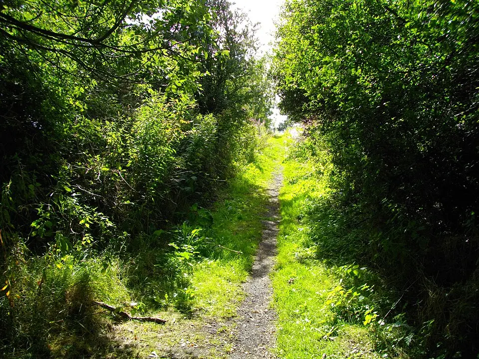 Remains of the Stockton and Darlington Railway