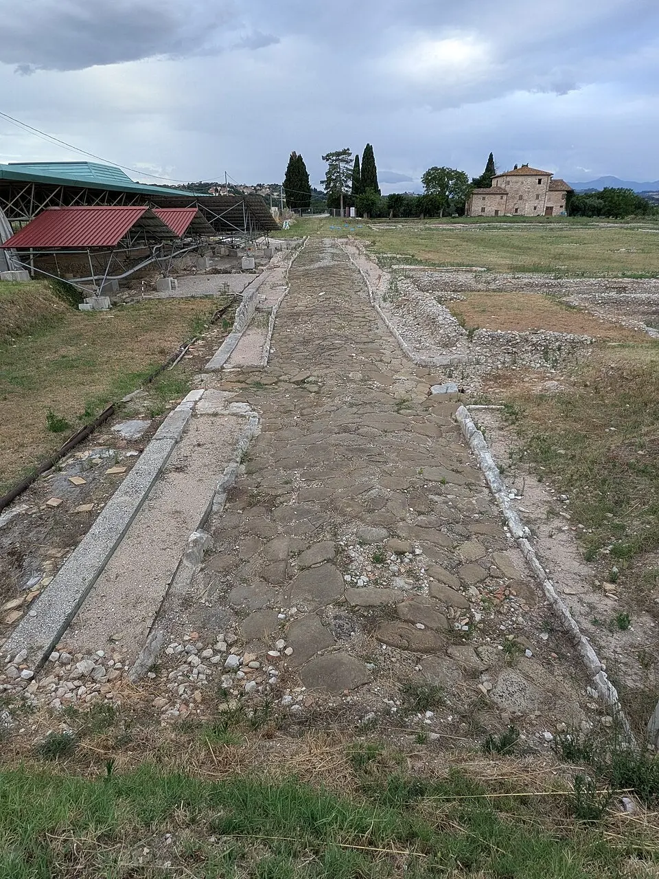Decumano massimo di Suasa