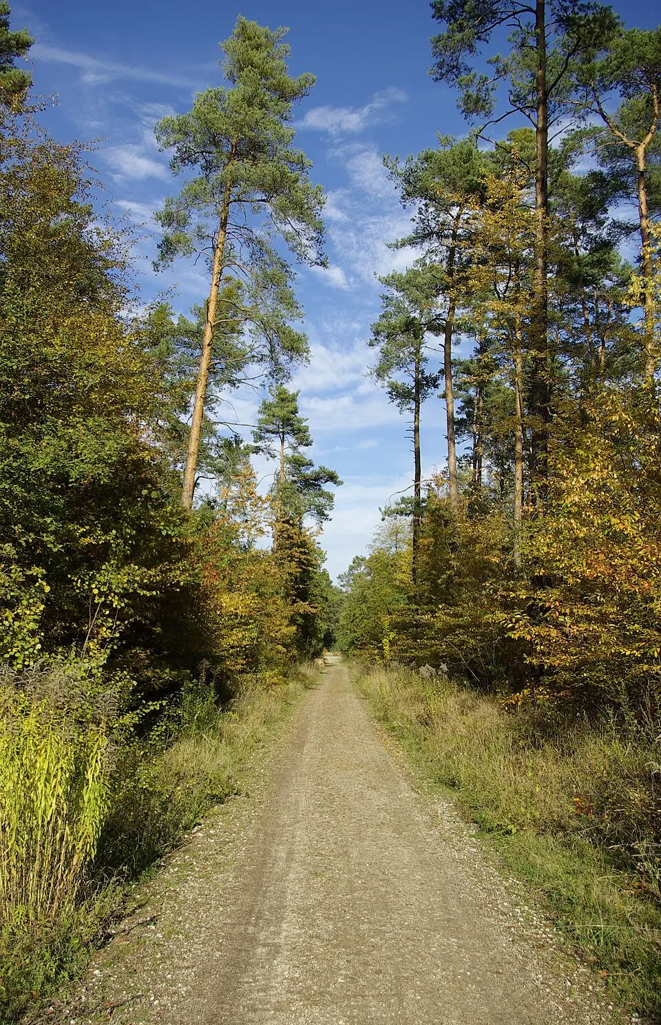 Forst Tennenlohe